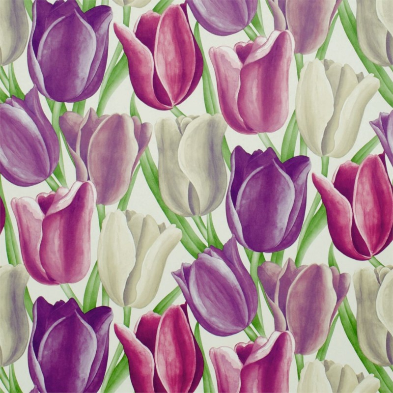 Early Tulips - DVIWEA101